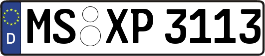 MS-XP3113
