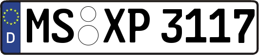 MS-XP3117