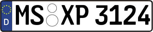 MS-XP3124