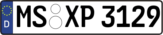 MS-XP3129