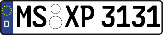 MS-XP3131