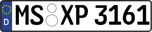 MS-XP3161