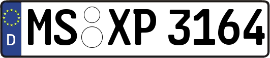 MS-XP3164