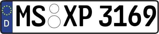 MS-XP3169