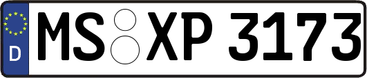 MS-XP3173