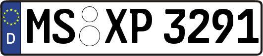 MS-XP3291