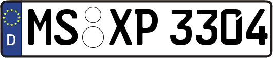 MS-XP3304