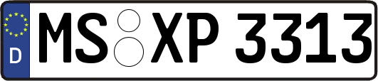 MS-XP3313