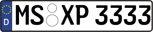 MS-XP3333
