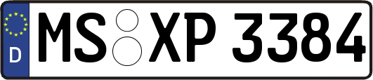 MS-XP3384