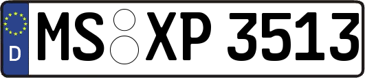 MS-XP3513