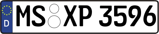 MS-XP3596