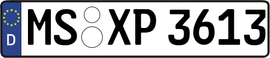 MS-XP3613