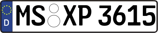 MS-XP3615