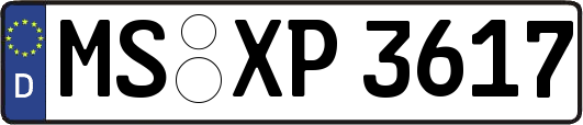 MS-XP3617
