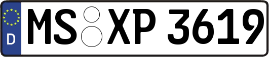 MS-XP3619