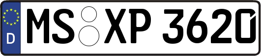 MS-XP3620