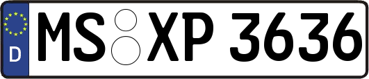 MS-XP3636