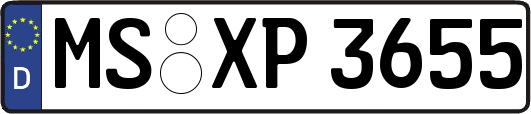 MS-XP3655