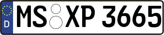 MS-XP3665
