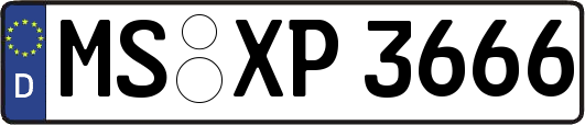 MS-XP3666