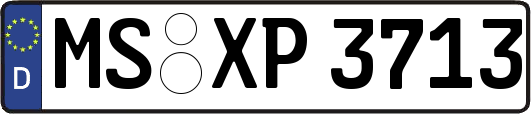 MS-XP3713