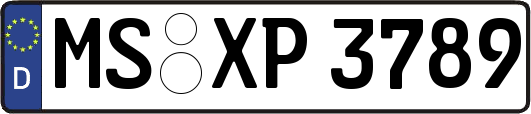 MS-XP3789