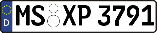 MS-XP3791