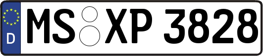 MS-XP3828