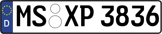 MS-XP3836