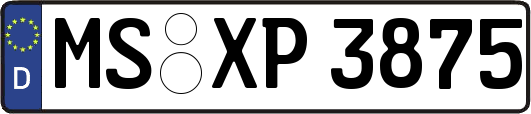 MS-XP3875