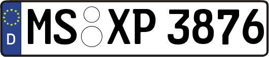 MS-XP3876
