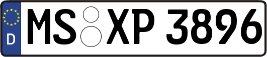 MS-XP3896