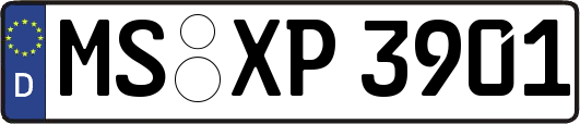 MS-XP3901