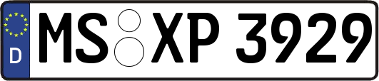 MS-XP3929