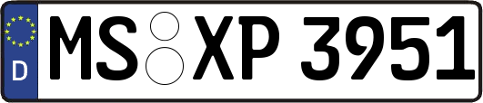 MS-XP3951