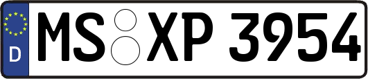 MS-XP3954