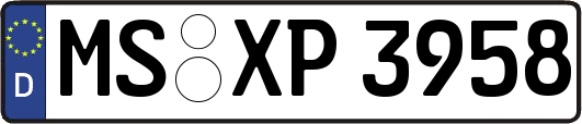 MS-XP3958