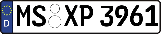 MS-XP3961