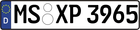 MS-XP3965