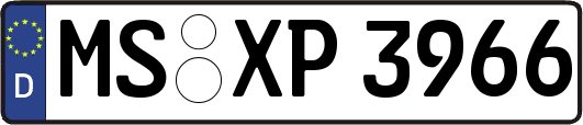 MS-XP3966