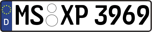 MS-XP3969