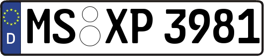 MS-XP3981