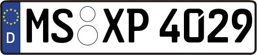 MS-XP4029