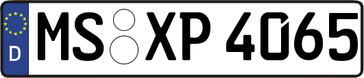MS-XP4065