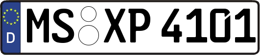 MS-XP4101