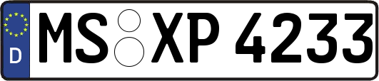 MS-XP4233