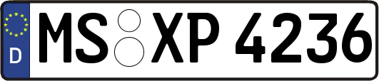 MS-XP4236