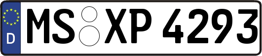 MS-XP4293