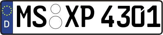 MS-XP4301